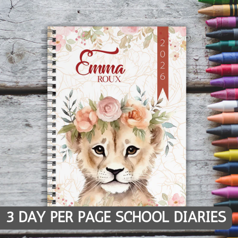 3 DAY SCHOOL DIARIES 2026