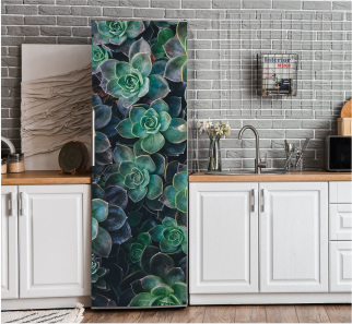 SUCCULENTS WRAP
