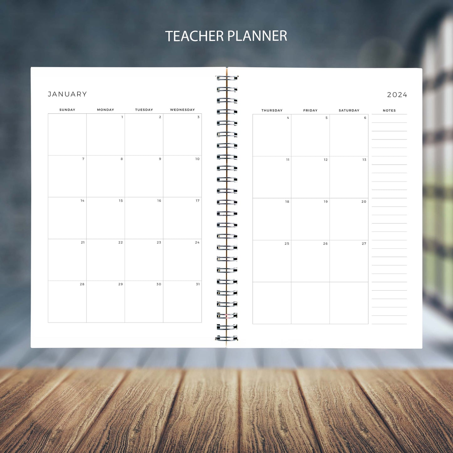 DRAGONFLIES TEACHER PLANNER