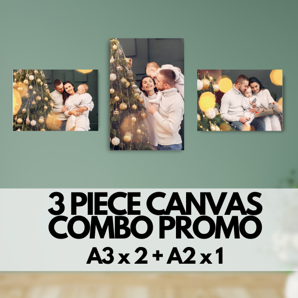 3 PIECE (A3 x 2 + A2 x 1) C2