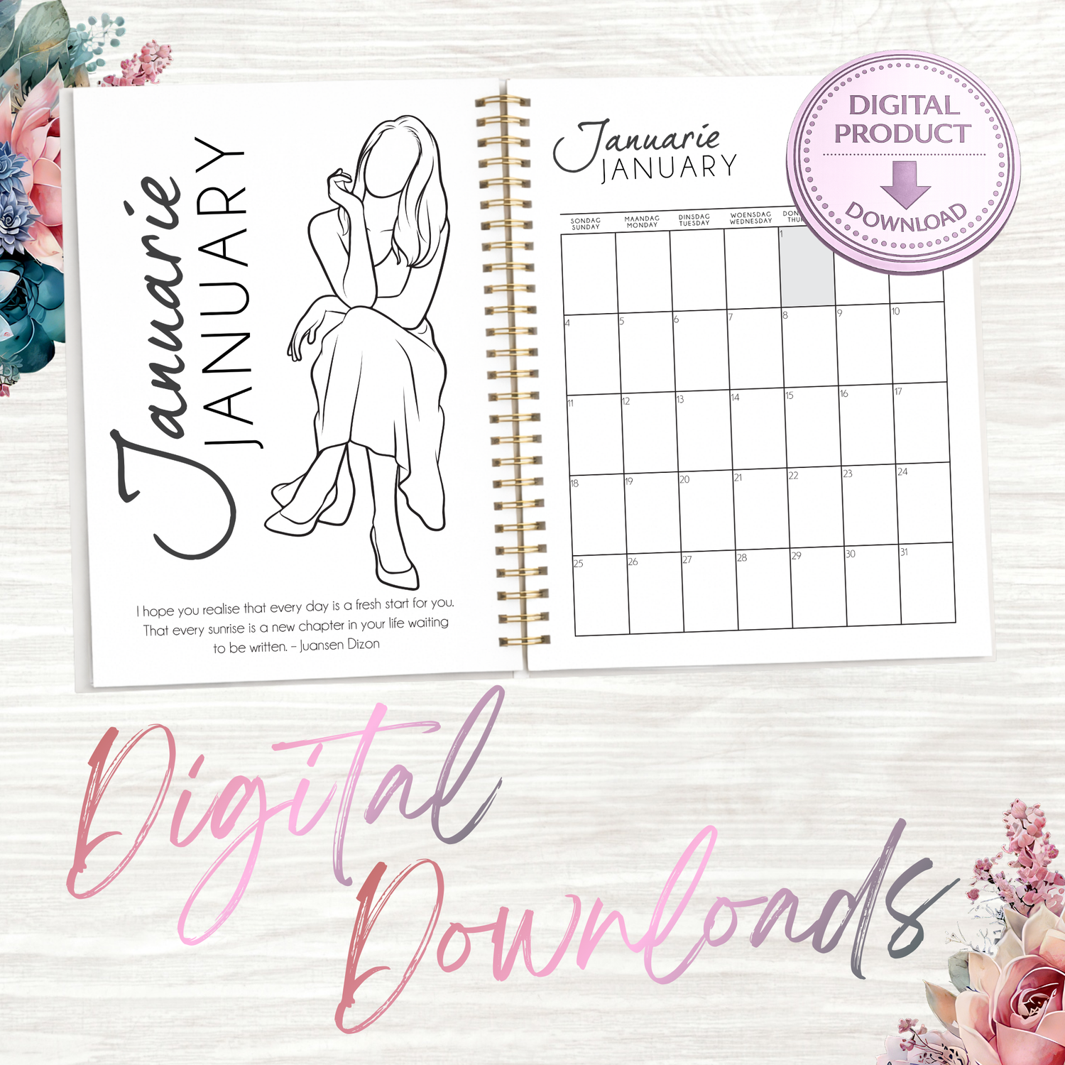 DOWNLOAD_ DIARIES AND JOURNALS