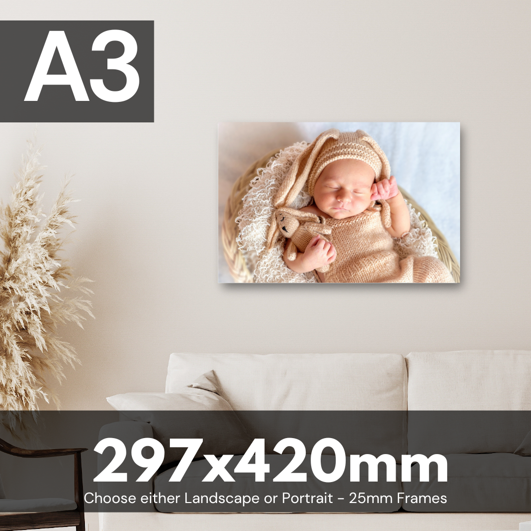 A3 CANVAS