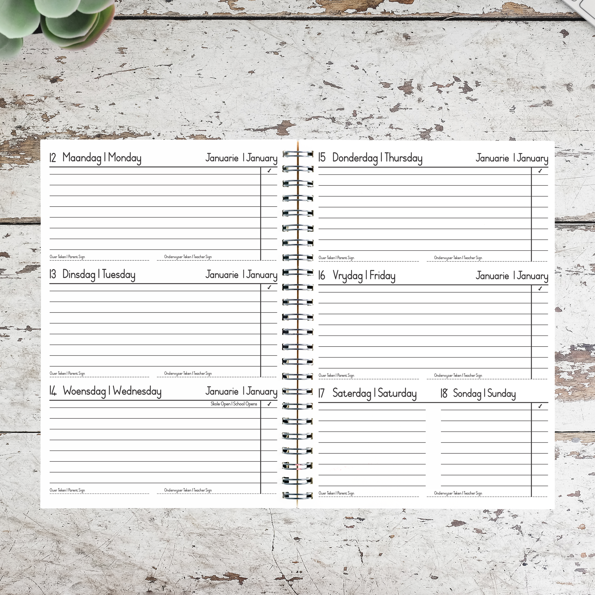 BABY DEER SCHOOL DIARY 2026