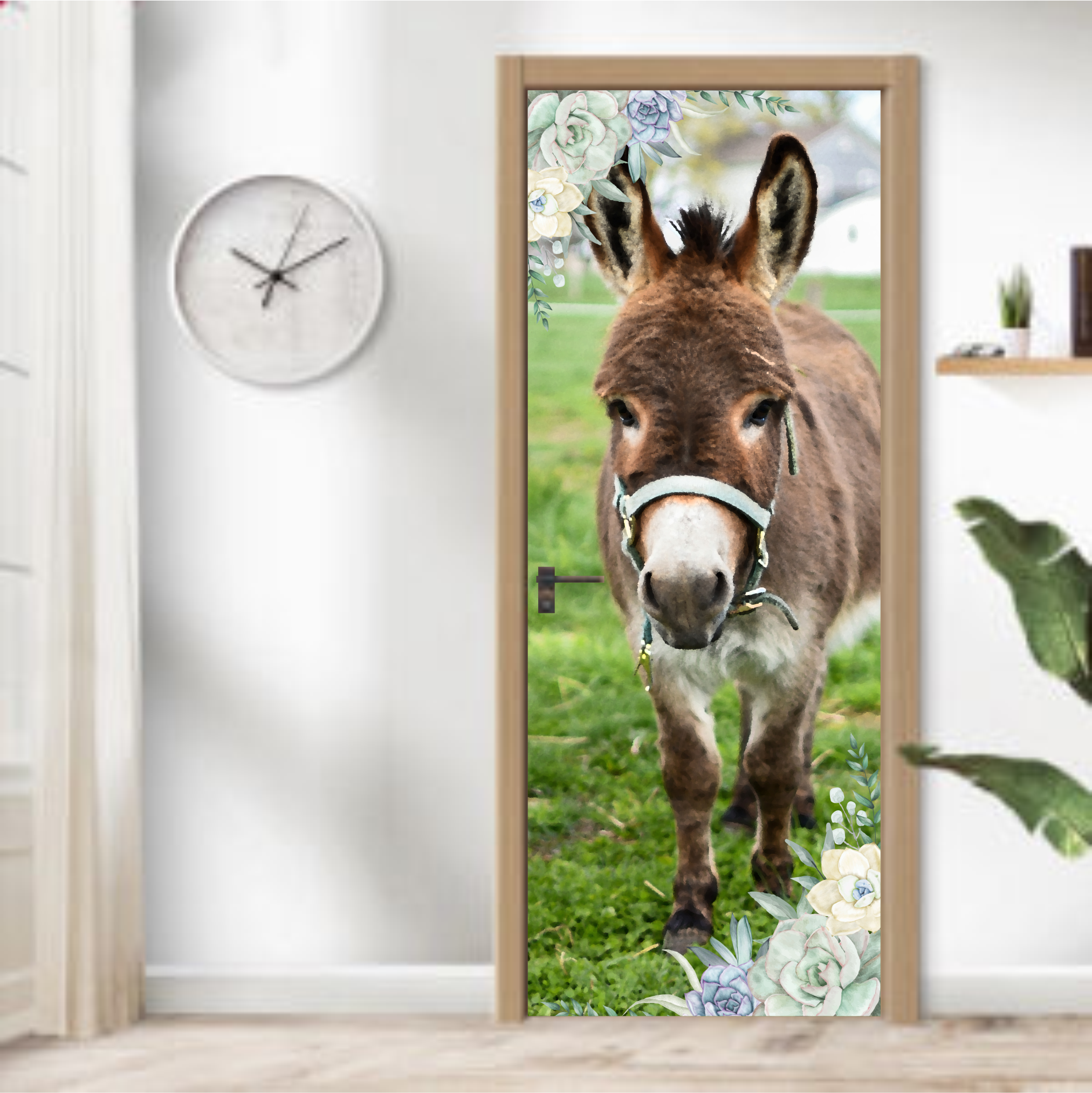SUCCULENT DONKIE