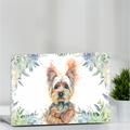 YORKIE SKIN