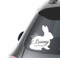 LITTLE BUNNY ON BOARD