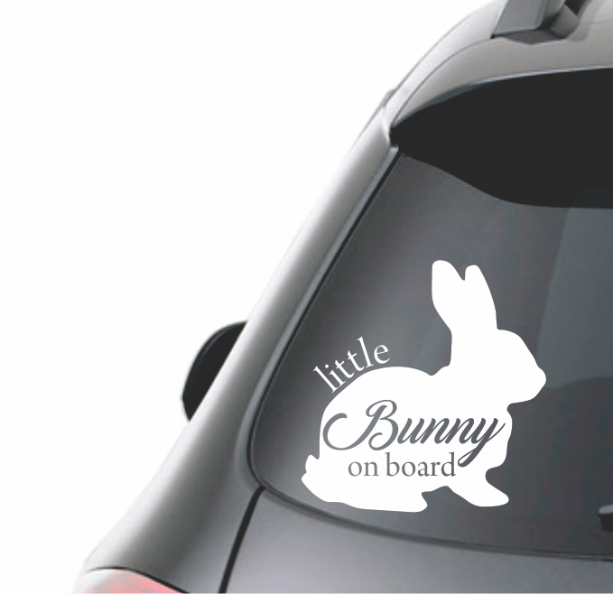 LITTLE BUNNY ON BOARD